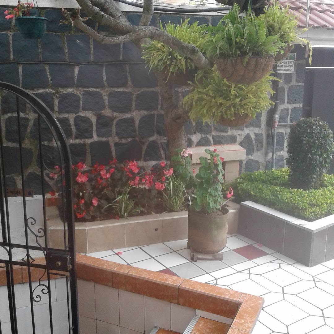 Experiencia en Hotel Rincón Escandinavo